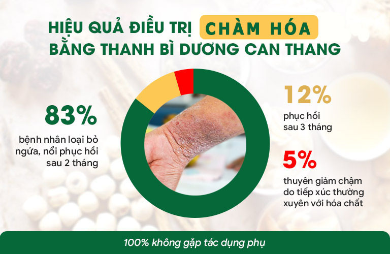 Thanh bì Dưỡng can thang xử lý chuyên sâu bệnh chàm hoá