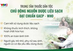 Vườn dược liệu chuẩn sạch, an toàn cho người bệnh